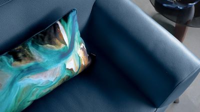 cushion shark bay image number 1